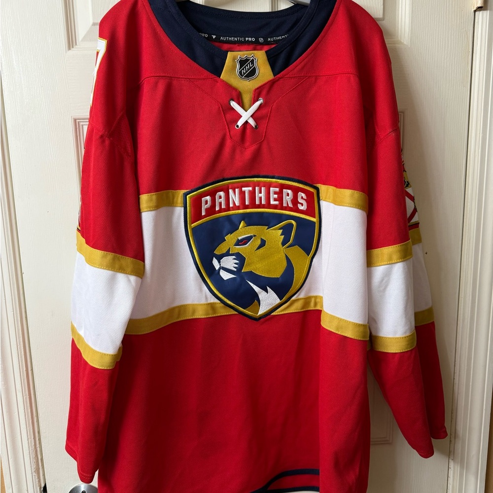 Panthers jersey